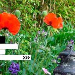 Les articles jardin de Carreco