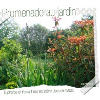 Euphorbes au jardin Au printemps, les euphorbes affichent une multitude de couleurs au jardin. L’euphorbe, appelée aussi euphorbia, est une vivace de la famille des euphorbiacées qui comprend plus de 2000 espèces (Euphorbe...