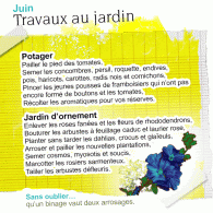 Travaux de juin au jardin Même si la météo nous a fait des caprices ces dernières semaines, juin est le mois des jardiniers. Plantations, semences sont encore possibles au jardin potager et au jardin d’ornement....